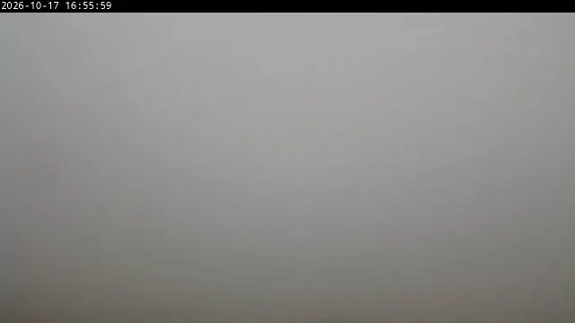 Image de la webcam Plateau de l'Arselle 1600
